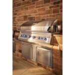 Napoleon Built-In 700 Series Gas Grill w/ Dual Infrared Rear Burners | GW STORE