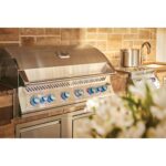 Napoleon Built-In 700 Series Gas Grill w/ Dual Infrared Rear Burners | GW STORE